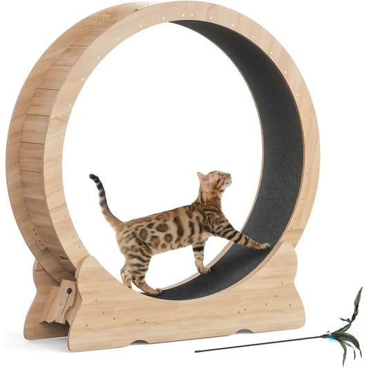 Extra Large 43.3 Indoor Cat Exercise Wheel with Removable Carpet and Teaser for Running, Walking, and Training - Natural Wood