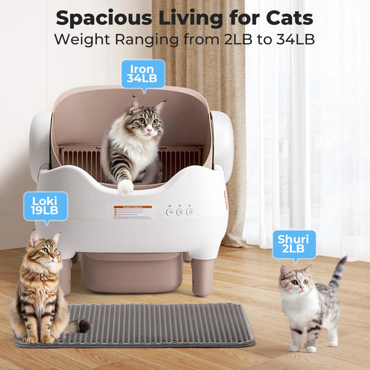 Self Cleaning Litter Box, Automatic with APP Control, Odor-Free  Large Waste Bin, Open-Top for Multi Cats