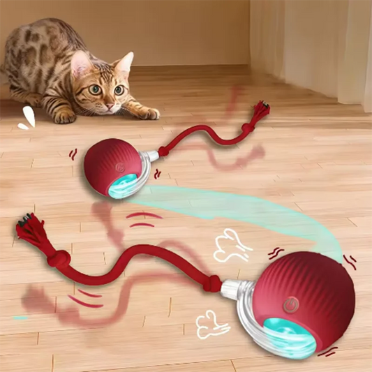 Interactive Self-Play Cat Toys, Automatic Teaser Ball and Rotating Stick, Hands-Free Fun for Kittens