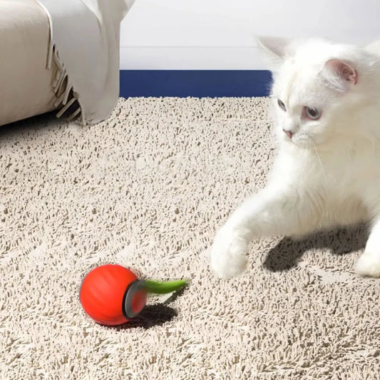 Automatic Moving Cat Toy Ball Smart Cat Toys USB Rechargeable